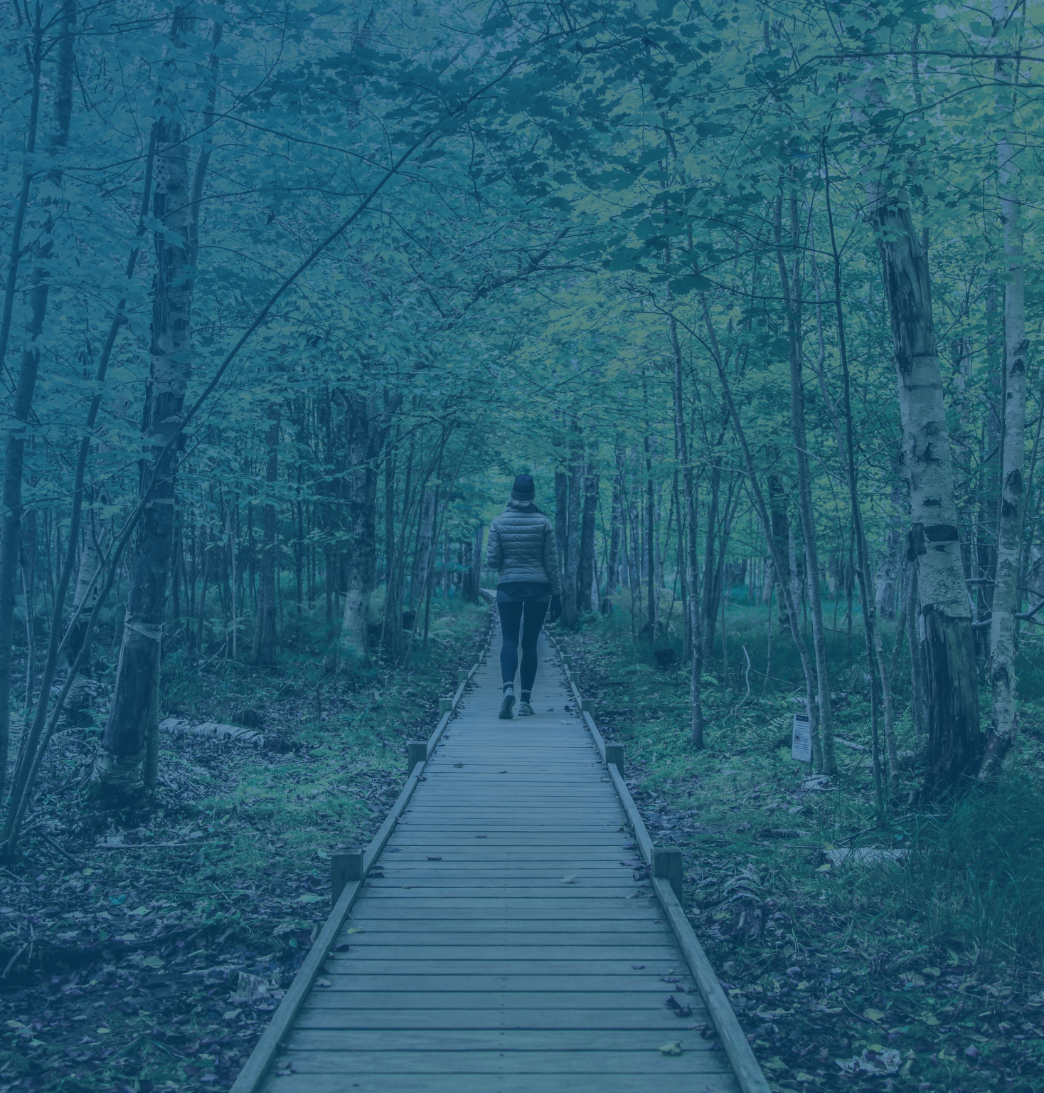 woman walking through forest