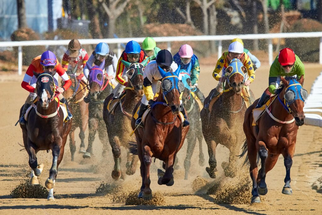 Jockeys competing in a horse race